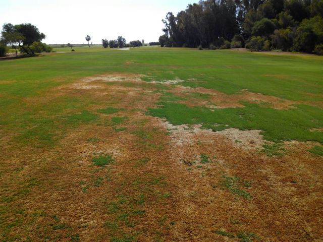 Las mejores prácticas de gestión para campos de golf con niveles elevados de salinidad: ¿por qué? y ¿cómo?