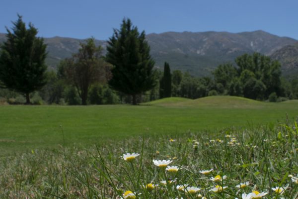 Integración ambiental de los campos de golf. Llega la gestión agrosistémica.
