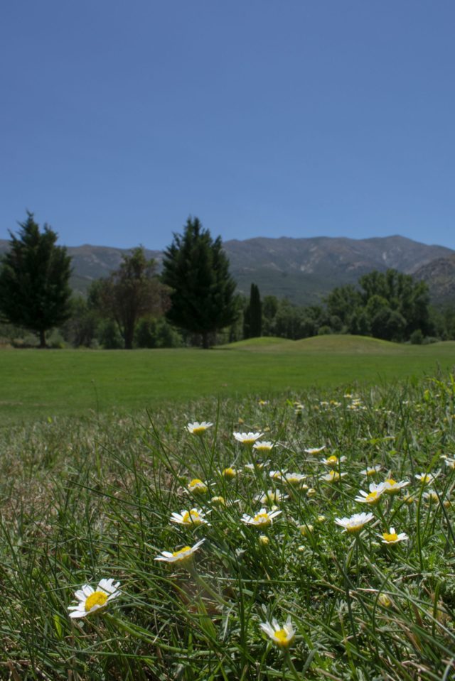 Integración ambiental de los campos de golf. Llega la gestión agrosistémica.