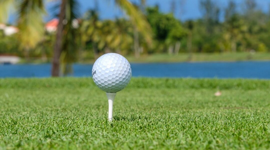 Mesa Redonda Online ‘Desafíos del diseño de campos de golf en el siglo XXI’